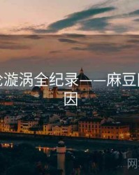 深度舆论漩涡全纪录——麻豆网背后原因