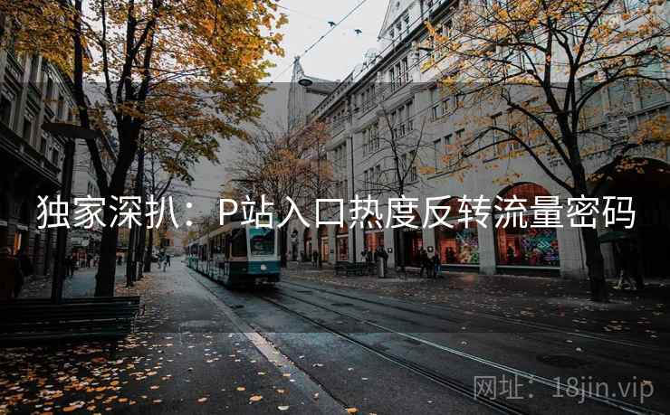 独家深扒:P站入口热度反转流量密码 独家深扒:P站入口热度反转流量密码